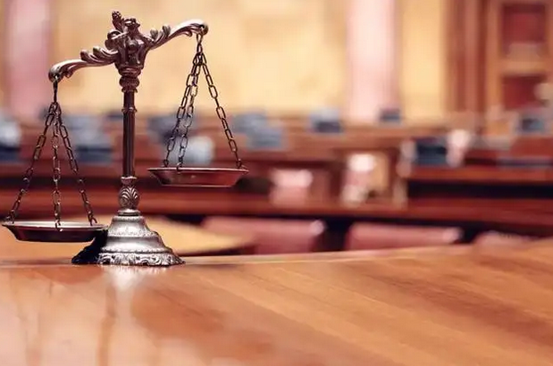 女子為尋刺激半夜開豪車偷菜被拘，盜竊他人財(cái)物怎么處罰
